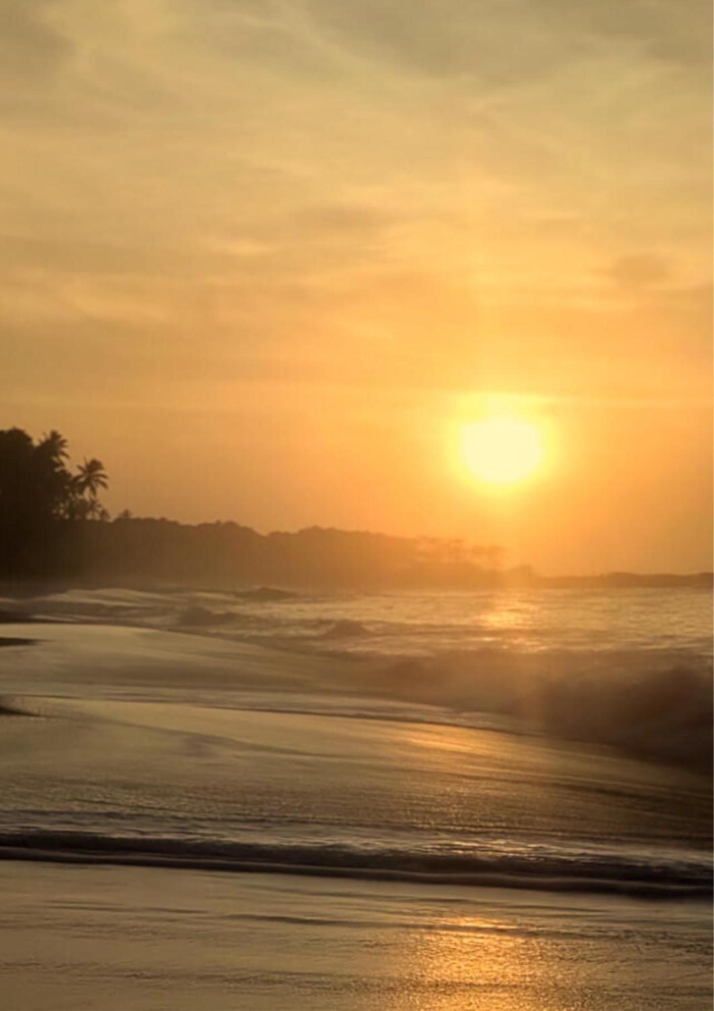 Amour At Turtle Beach Tangalle Buitenkant foto